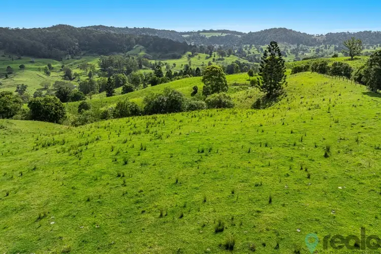 Main view of Homely rural property listing, 1152 Theresa Creek Road, Theresa Creek NSW 2469