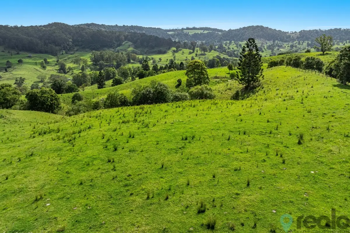 Main view of Homely rural property listing, 1152 Theresa Creek Road, Theresa Creek NSW 2469