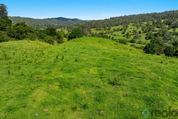 Fifth view of Homely rural property listing, 1152 Theresa Creek Road, Theresa Creek NSW 2469