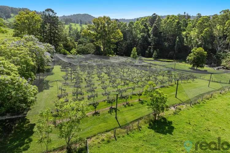 Sixth view of Homely rural property listing, 1152 Theresa Creek Road, Theresa Creek NSW 2469