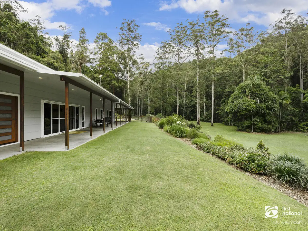 Main view of Homely house listing, 1361 Tyalgum Road, Tyalgum NSW 2484