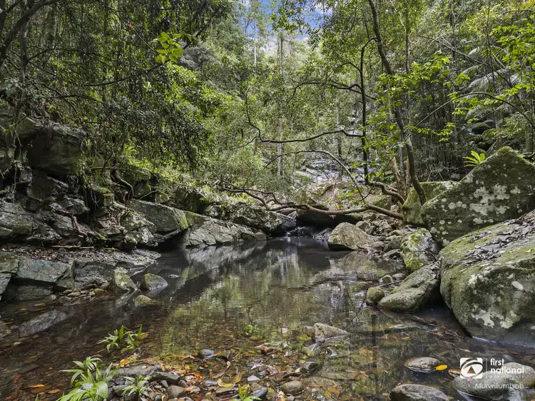 Third view of Homely house listing, 1361 Tyalgum Road, Tyalgum NSW 2484