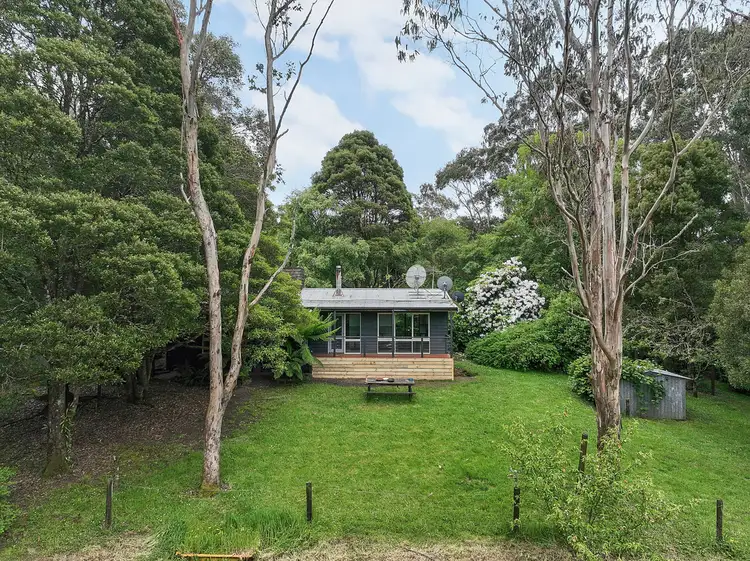 Fourth view of Homely rural property listing, 5035 Great Ocean Road, Lavers Hill VIC 3238
