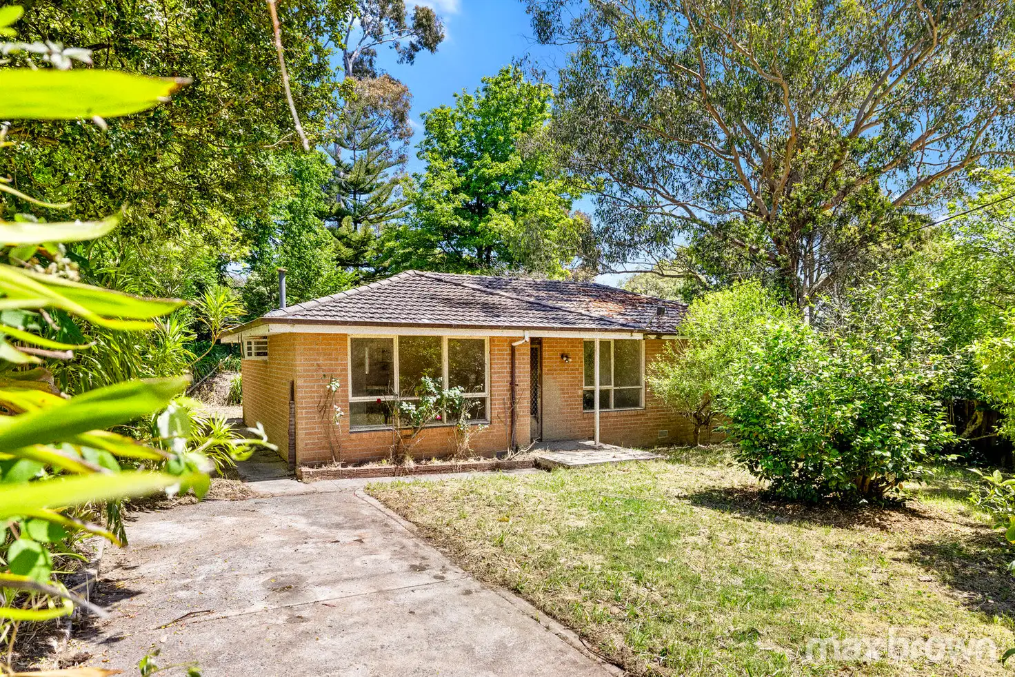 Main view of Homely house listing, 996 Mt Dandenong Tourist Road, Montrose VIC 3765