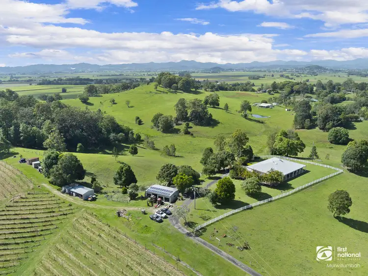 1283 Urliup Road, Dulguigan NSW 2484