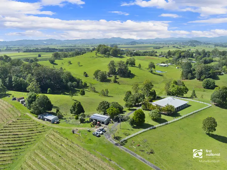 Fifth view of Homely rural property listing, 1283 Urliup Road, Dulguigan NSW 2484