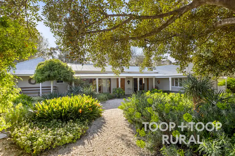Main view of Homely rural property listing, 134 Mattiske Road, Tanunda SA 5352