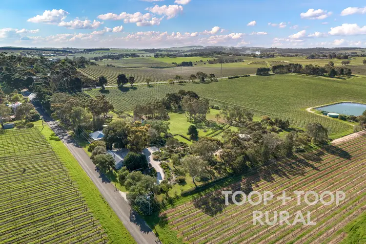 Third view of Homely rural property listing, 134 Mattiske Road, Tanunda SA 5352