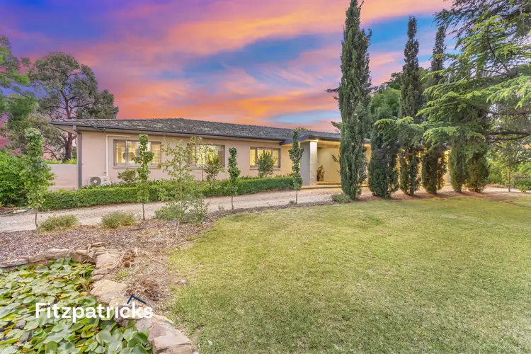 21 Morshead Street, Ashmont NSW 2650