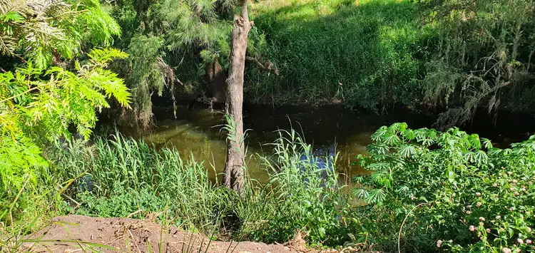 Fourth view of Homely land listing, 5 Frances Street, Cooyar QLD 4402