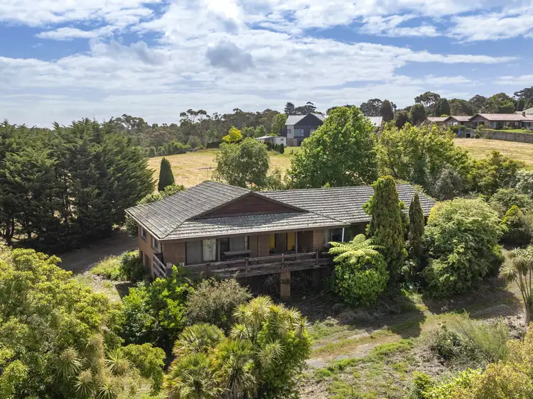 Second view of Homely rural property listing, 8A Peach Grove, Tyabb VIC 3913