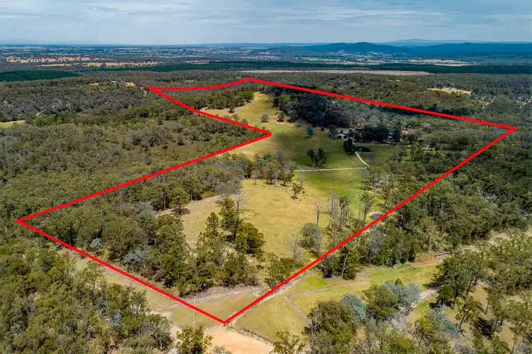 Main view of Homely house listing, 173 Thistlethwaites, Briagolong VIC 3860