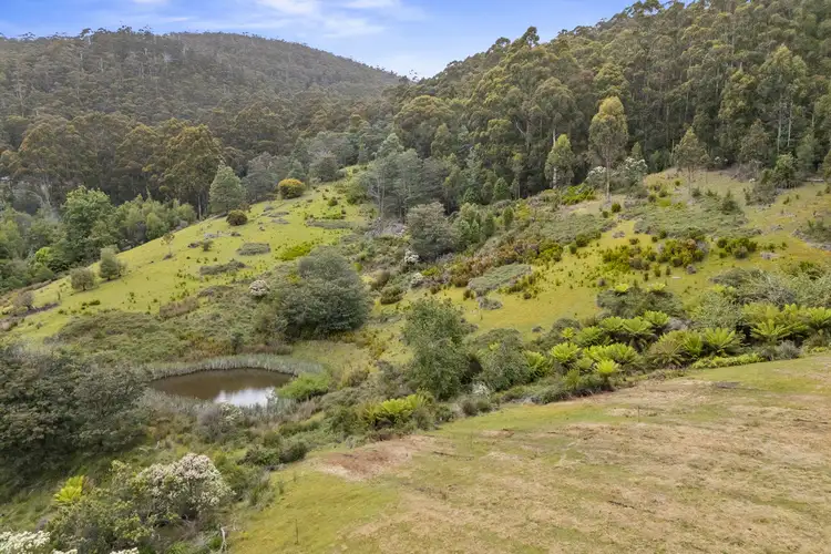 Fifth view of Homely land listing, 135 Longeys Road, Birchs Bay TAS 7162