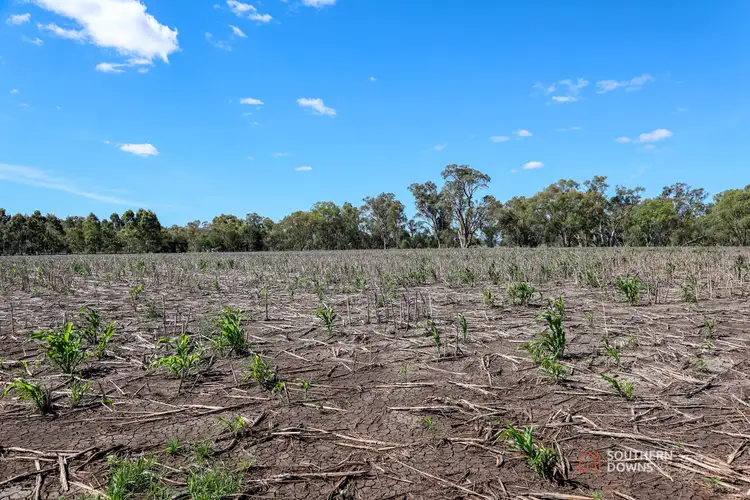 Seventh view of Homely land listing, LOT 1 Condamine River Road, Pratten QLD 4370