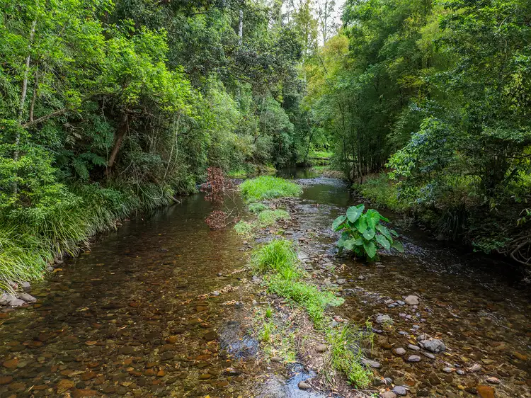 Second view of Homely rural property listing, 1824 Darkwood Road, Darkwood NSW 2454