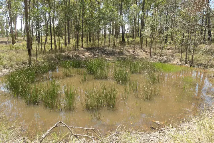 Fourth view of Homely rural property listing, LOT 83, 412 Bruxner Road, Drake NSW 2469