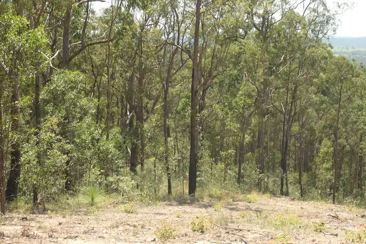 Fifth view of Homely rural property listing, LOT 83, 412 Bruxner Road, Drake NSW 2469