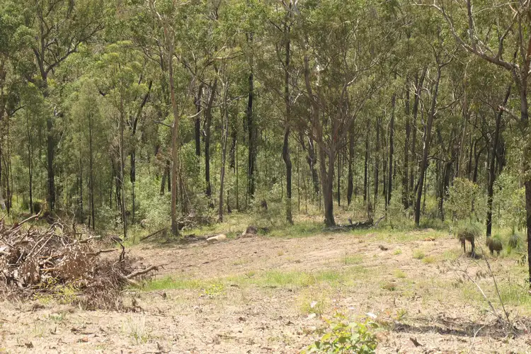 Sixth view of Homely rural property listing, LOT 83, 412 Bruxner Road, Drake NSW 2469