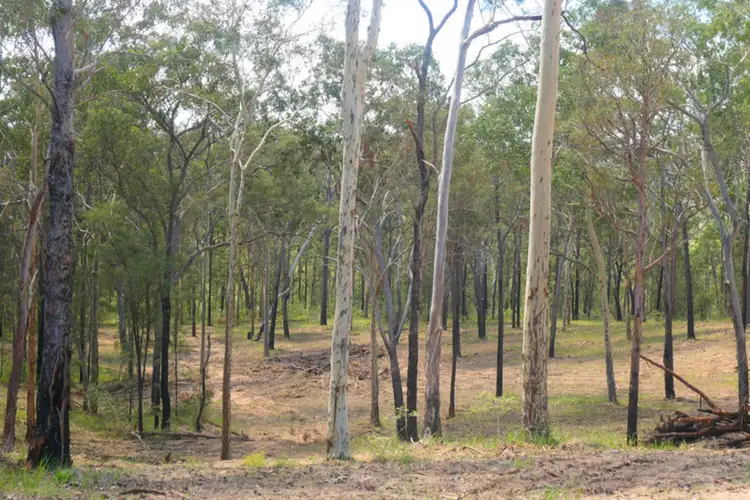 LOT 82, 428 Bruxner Road, Drake NSW 2469