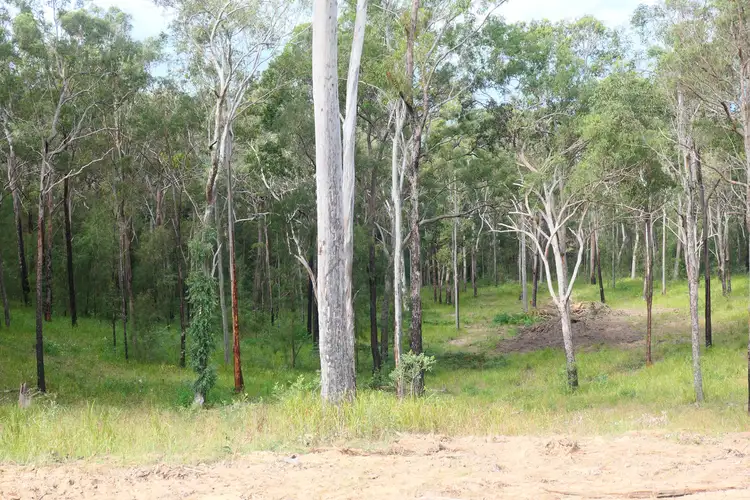 LOT 82, 428 Bruxner Road, Drake NSW 2469