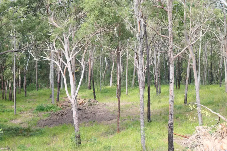 Third view of Homely rural property listing, LOT 82, 428 Bruxner Road, Drake NSW 2469