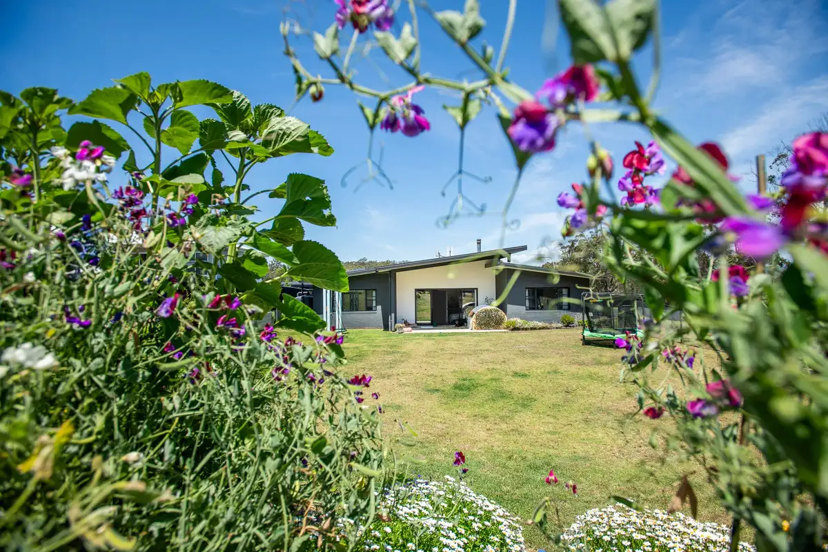 Main view of Homely house listing, 37 Kurrajong Crescent, Kalaru NSW 2550