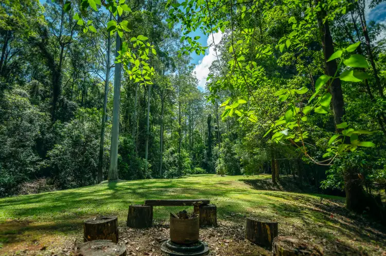 Fourth view of Homely house listing, 69 McGraths Road, Bellingen NSW 2454