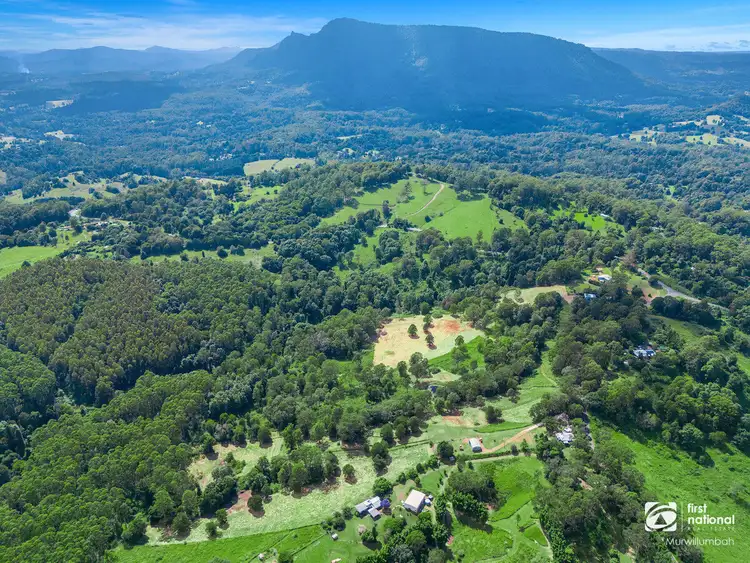 Third view of Homely house listing, 1163 Williams Road, Lillian Rock NSW 2480