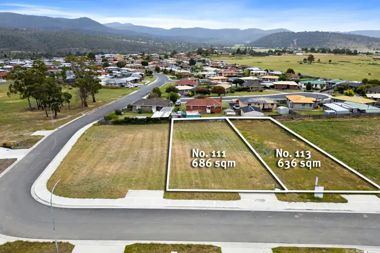 Main view of Homely land listing, 111 & 113 Benjamin Terrace, New Norfolk TAS 7140