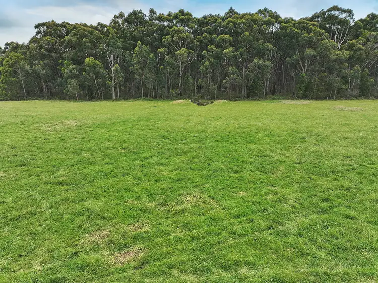 Fifth view of Homely rural property listing, 765 Colac-Lavers Hill Road, Barongarook VIC 3249