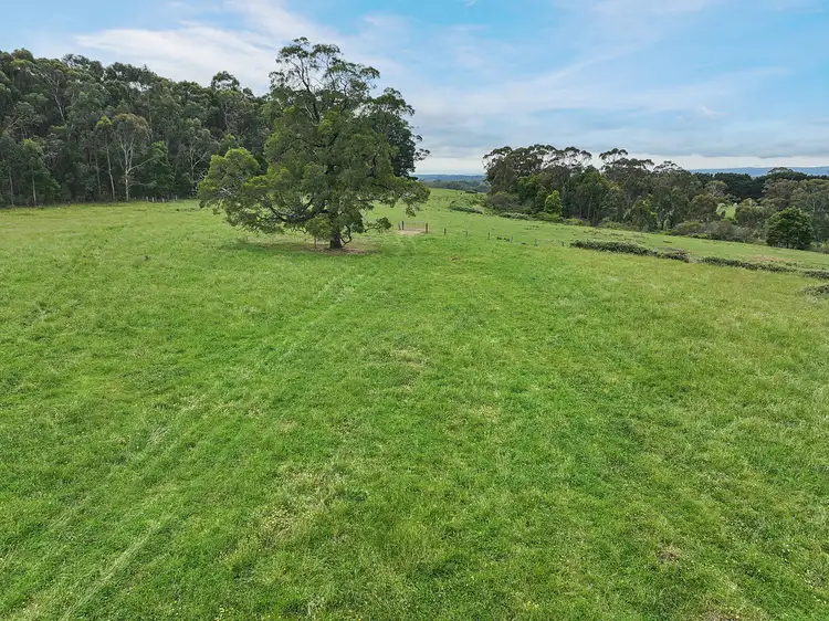 Sixth view of Homely rural property listing, 765 Colac-Lavers Hill Road, Barongarook VIC 3249