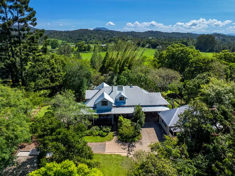 224 North Bank Road, Bellingen NSW 2454