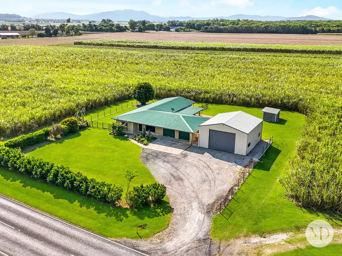 Main view of Homely house listing, 711 Murdering Point Road, Kurrimine Beach QLD 4871