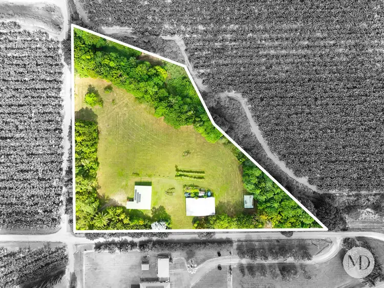 Second view of Homely house listing, 77 Camuglia Road, Boogan QLD 4871