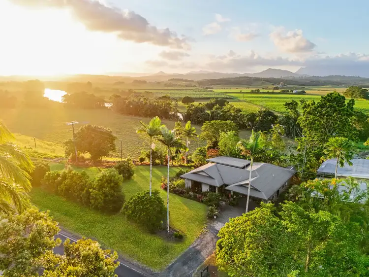 407 Palmerston Highway, O'briens Hill QLD 4860