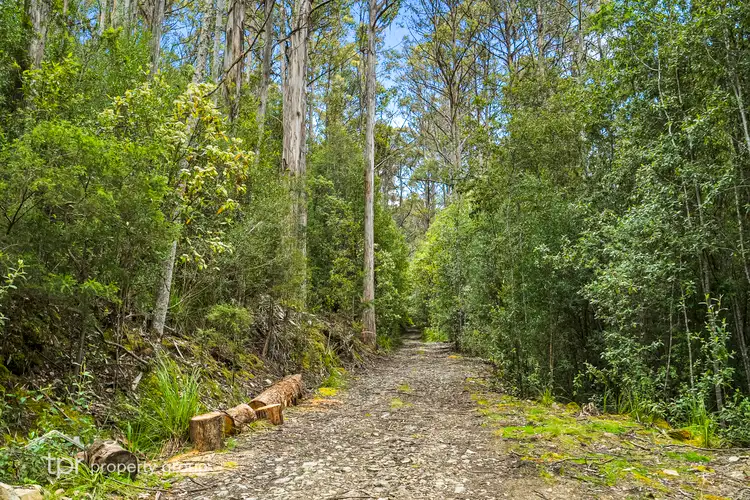 Third view of Homely land listing, 291 Guys Road, Cygnet TAS 7112