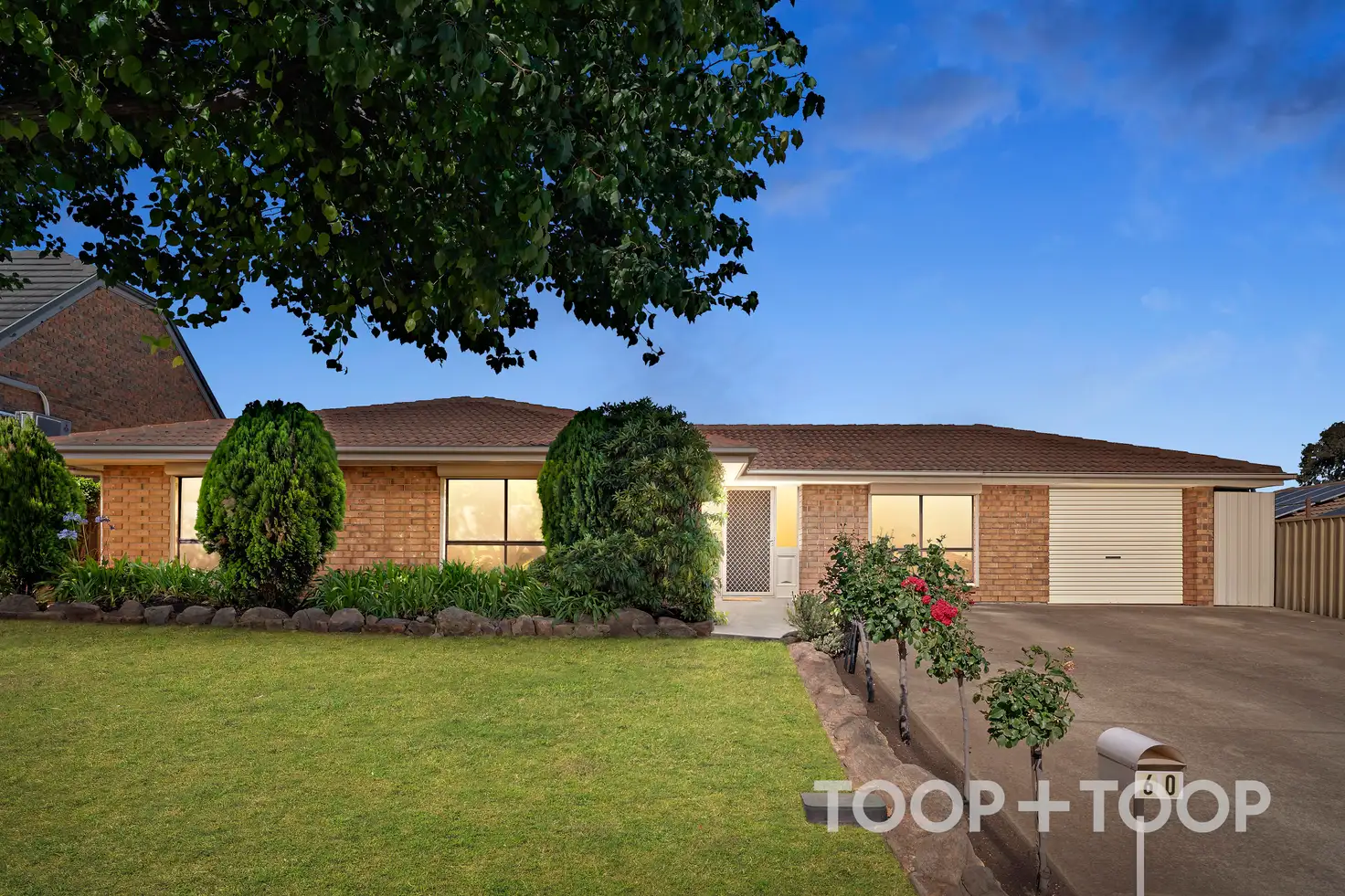 Main view of Homely house listing, 60 Carruthers Drive, Modbury North SA 5092