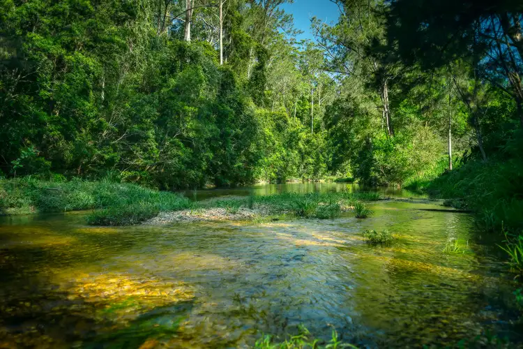 Second view of Homely rural property listing, 606 Kalang Road, Bellingen NSW 2454