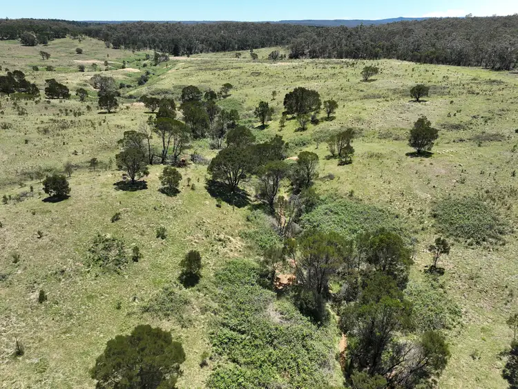 Third view of Homely rural property listing, 245 Burden Drive, Oallen NSW 2622