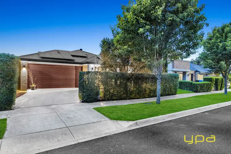 19 Guilfoylia Drive