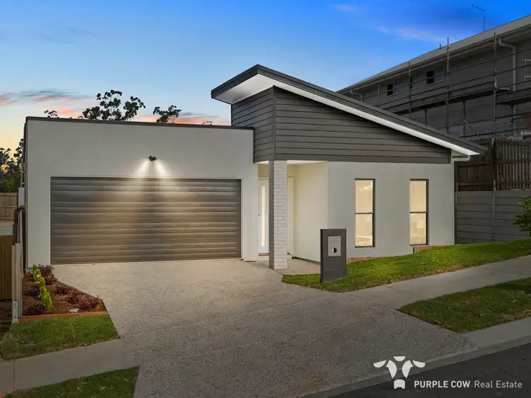 16 Helix Close, Spring Mountain QLD 4300