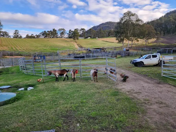 Second view of Homely rural property listing, 2531 Rocky River Road, Rocky River NSW 2372