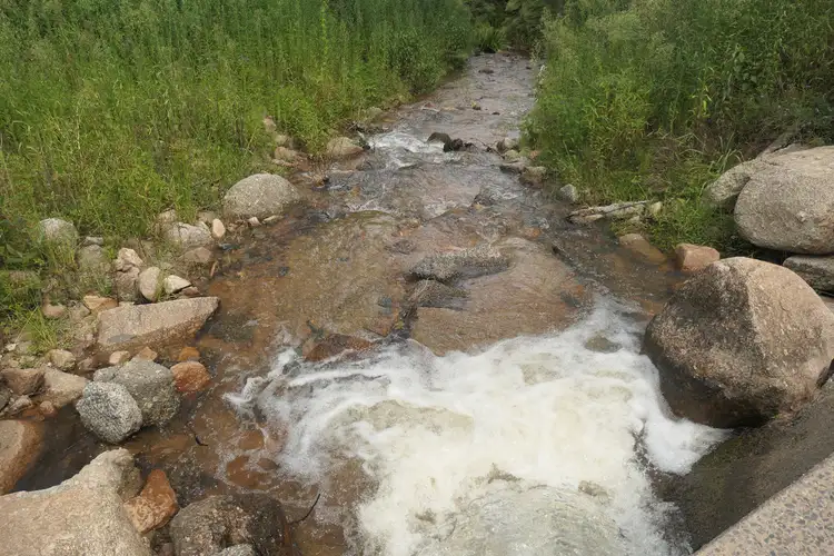 Seventh view of Homely rural property listing, 2531 Rocky River Road, Rocky River NSW 2372