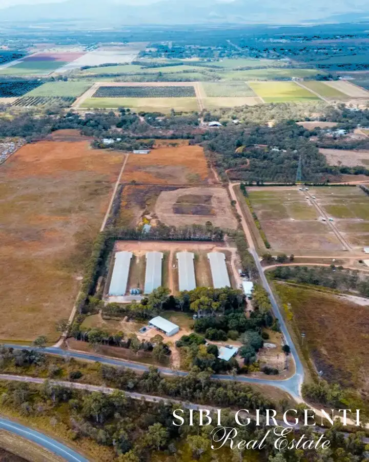 59 Martin Road, Mareeba QLD 4880