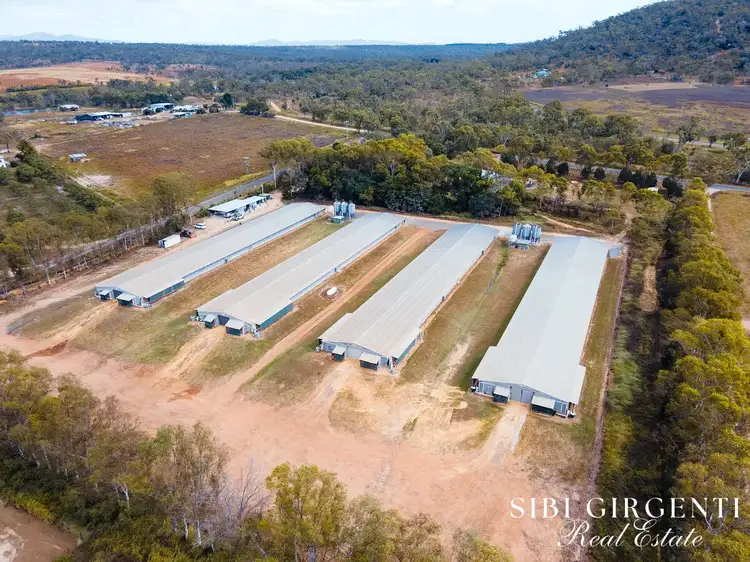 Second view of Homely rural property listing, 59 Martin Road, Mareeba QLD 4880