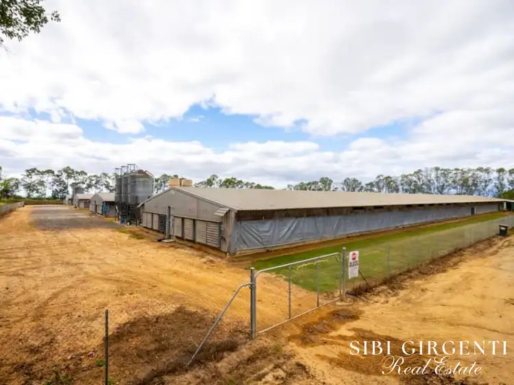 Third view of Homely rural property listing, 59 Martin Road, Mareeba QLD 4880