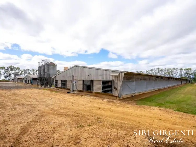 Fourth view of Homely rural property listing, 59 Martin Road, Mareeba QLD 4880