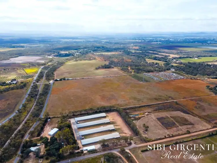 Fifth view of Homely rural property listing, 59 Martin Road, Mareeba QLD 4880