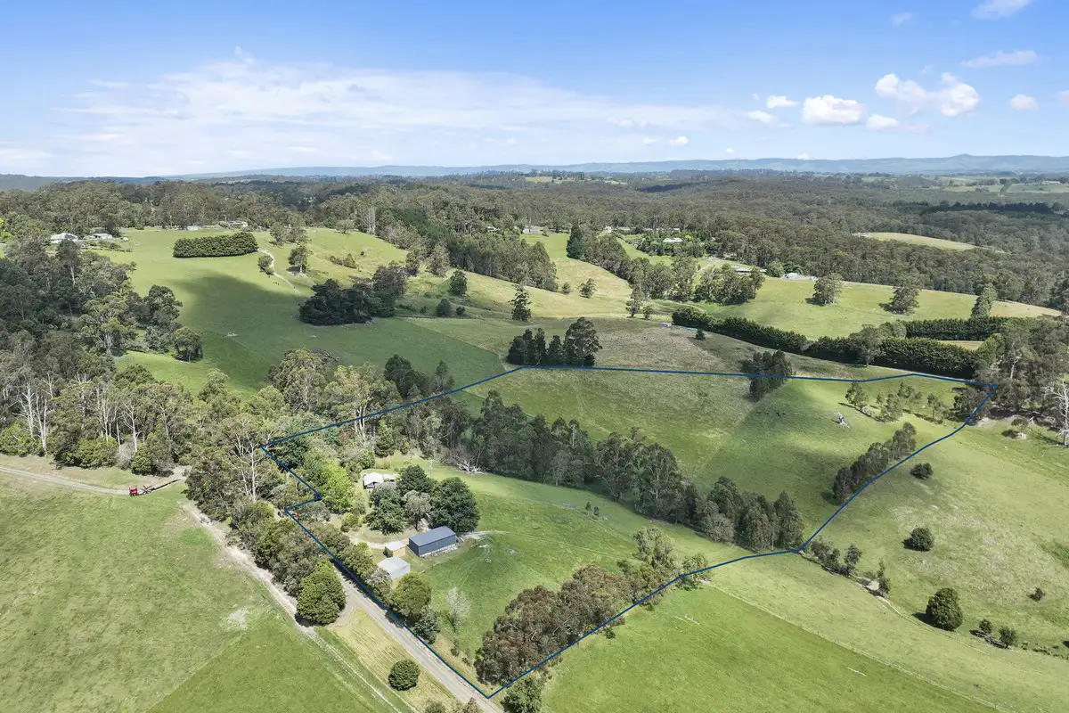 Main view of Homely house listing, 41 Town Road, Neerim South VIC 3831