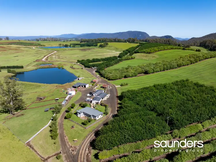 110 Trickett Road, Needles TAS 7304